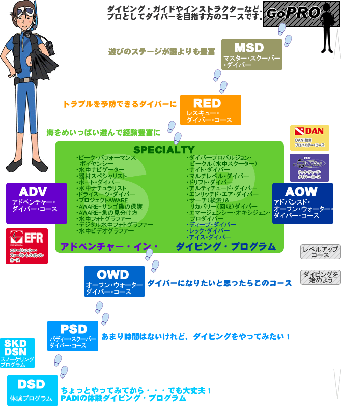 PADI�_�C�r���O�E�V�X�e���@�t���[�`���[�g