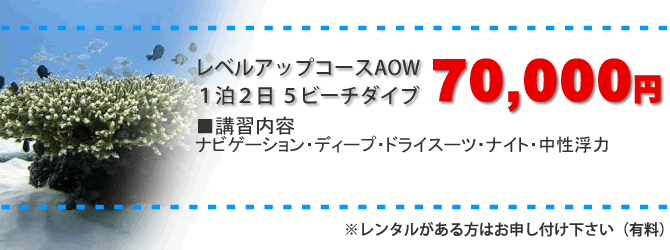 1泊2日 5ダイブ まとめて取得コース 89,670円(68,250円+レンタル料21,420円BCD・レギュ・スーツ・軽器材セット各2日分・水中ライトナイト時)2日分のレンタル料21,420円がなんと無料